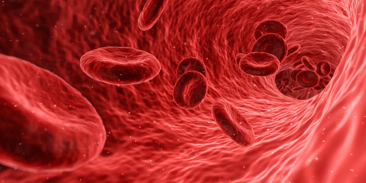 W jaki sposób antybiotyki wpływają na wyniki badań krwi?